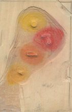 Load image into Gallery viewer, ROOSTER COLOUR