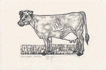 Load image into Gallery viewer, COW & GRASS